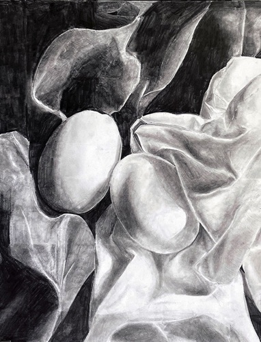 Portfolio I : Charlotte Panetta